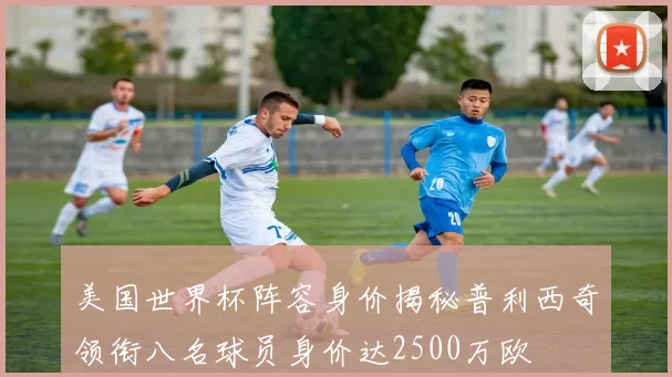 美国世界杯阵容身价揭秘普利西奇领衔八名球员身价达2500万欧