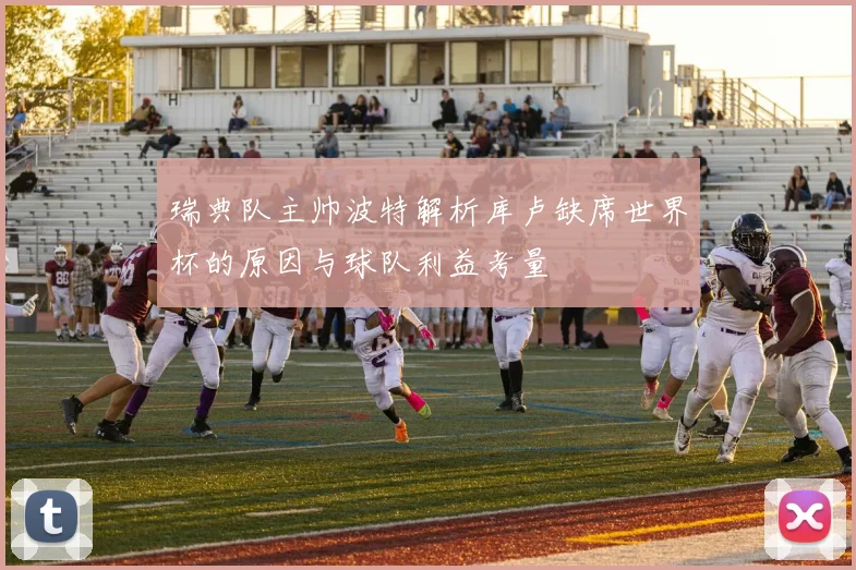 瑞典队主帅波特解析库卢缺席世界杯的原因与球队利益考量